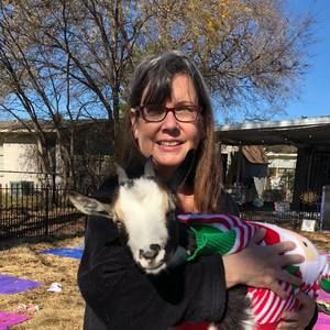 Meet your Posher, Amanda